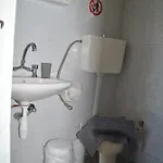 Palmyra 3* Kavos