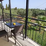 Palmyra Kavos
