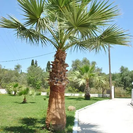Palmyra 3*