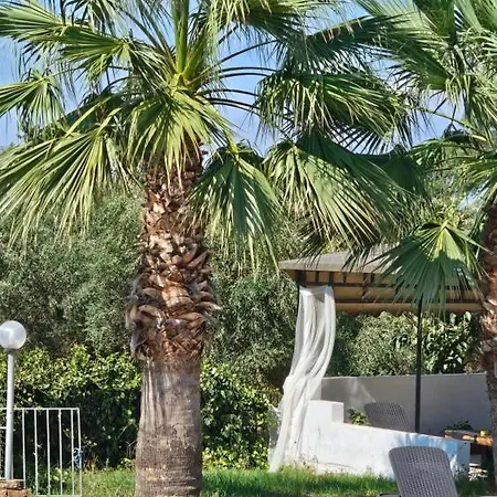 Palmyra