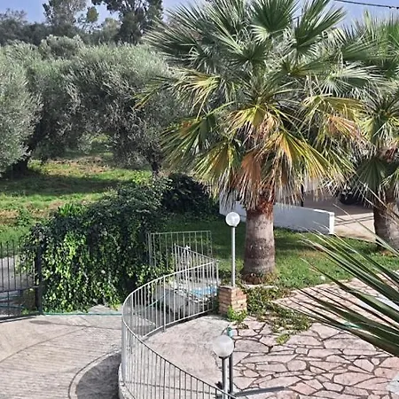 Palmyra 3*