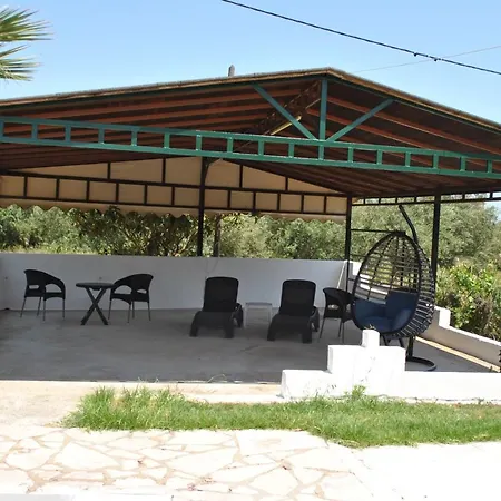 Palmyra Kavos