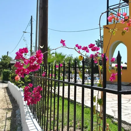 Palmyra *
