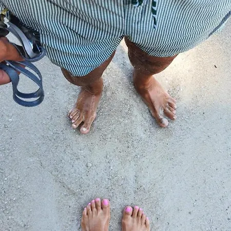 Lägenhetshotell Palmyra