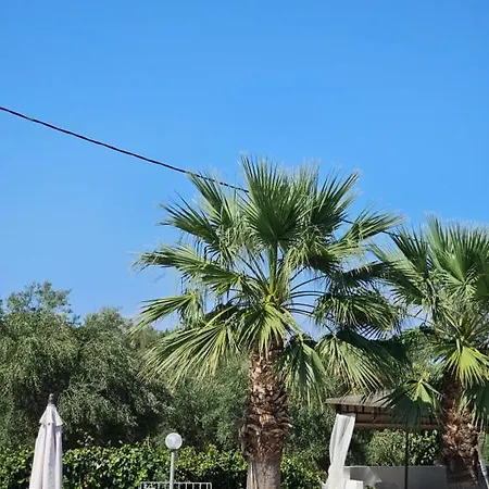 Palmyra Aparthotel 3*