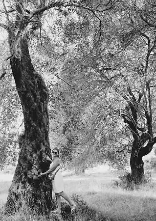 Aparthotel Palmyra 3*