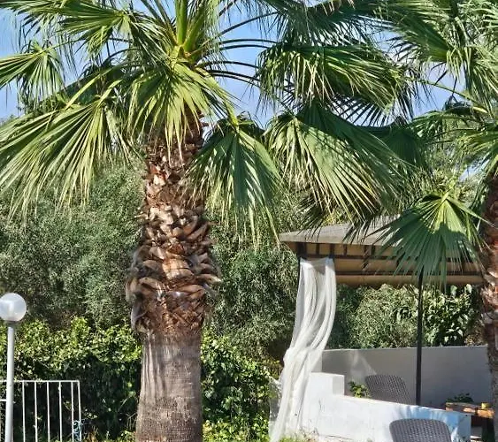 Palmyra